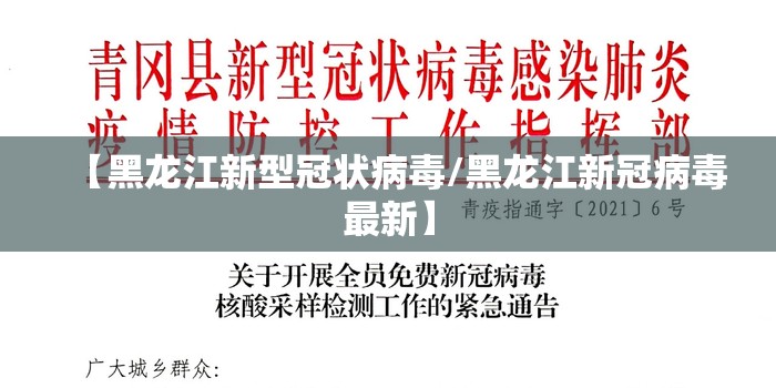 【黑龙江新型冠状病毒/黑龙江新冠病毒最新】