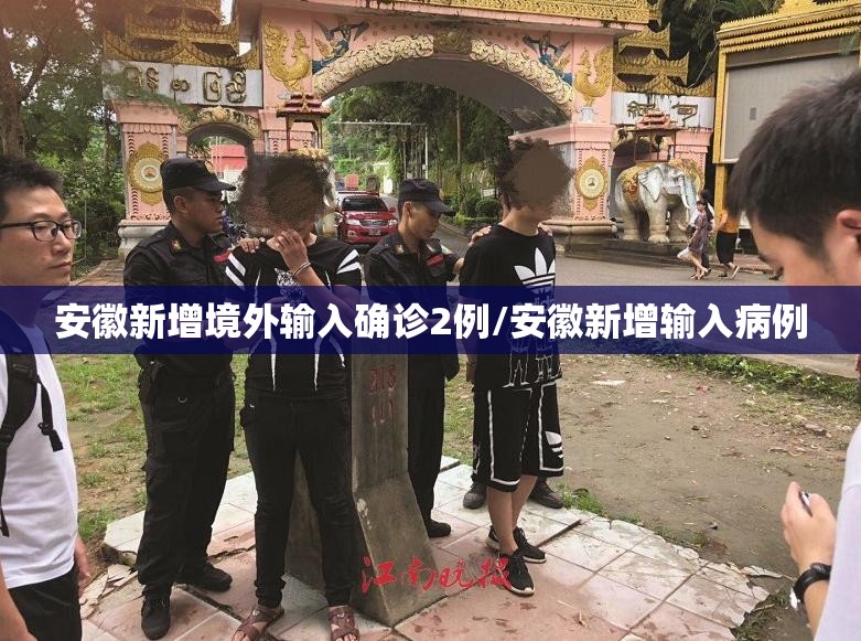 安徽新增境外输入确诊2例/安徽新增输入病例 安徽新增境外输入确诊2例/安徽新增输入病例