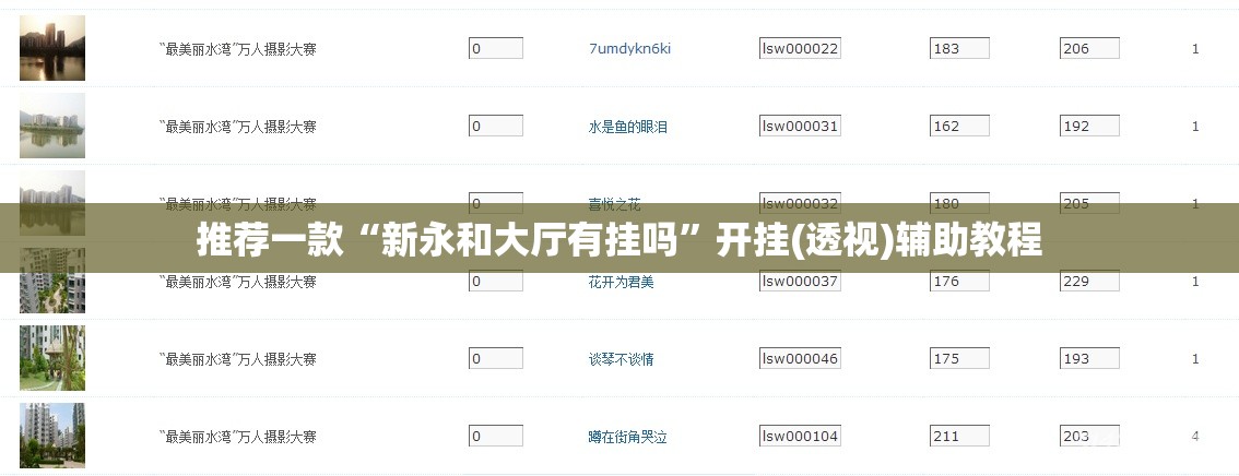 推荐一款“新永和大厅有挂吗”开挂(透视)辅助教程