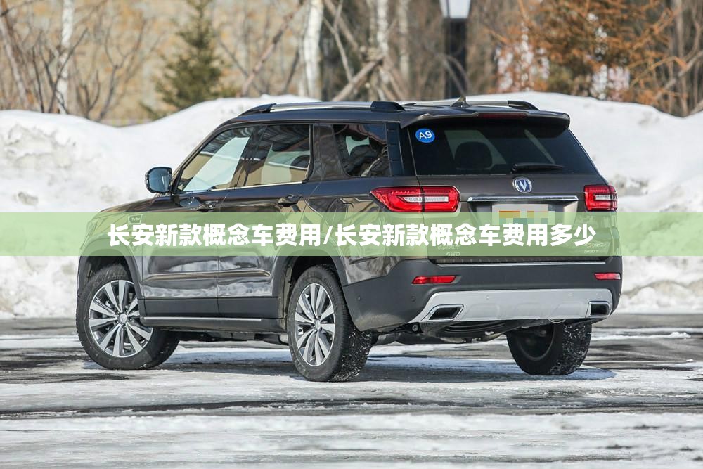 长安新款概念车费用/长安新款概念车费用多少 长安新款概念车费用/长安新款概念车费用多少
