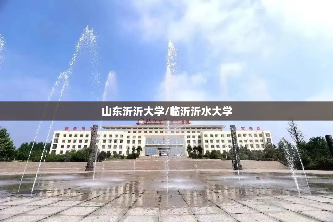 山东沂沂大学/临沂沂水大学 山东沂沂大学/临沂沂水大学