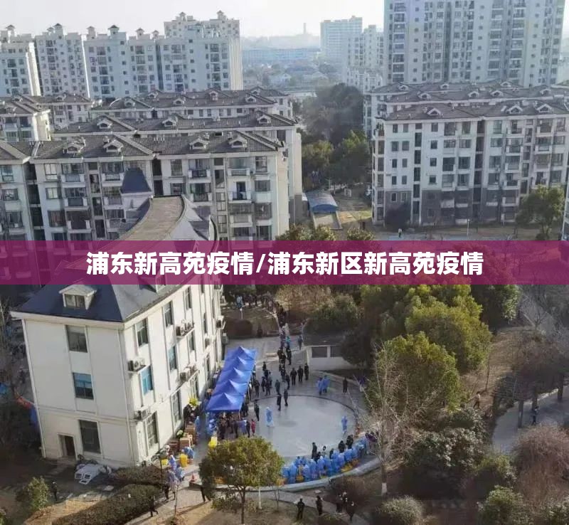 浦东新高苑疫情/浦东新区新高苑疫情 浦东新高苑疫情/浦东新区新高苑疫情