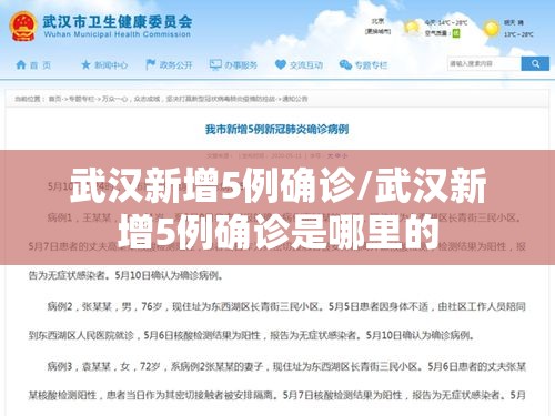 武汉新增5例确诊/武汉新增5例确诊是哪里的 武汉新增5例确诊/武汉新增5例确诊是哪里的