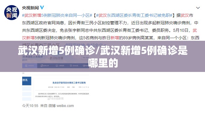 武汉新增5例确诊/武汉新增5例确诊是哪里的 武汉新增5例确诊/武汉新增5例确诊是哪里的