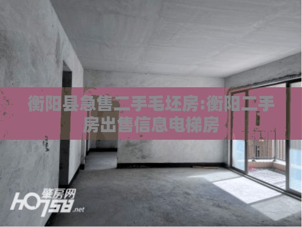 衡阳县急售二手毛坯房:衡阳二手房出售信息电梯房 衡阳县急售二手毛坯房:衡阳二手房出售信息电梯房