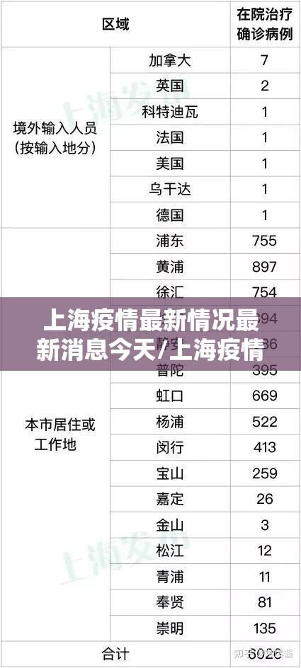 上海疫情最新情况最新消息今天/上海疫情最新情况发布