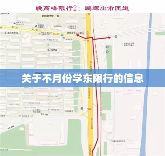 关于不月份学东限行的信息 关于不月份学东限行的信息