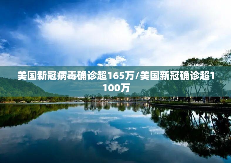 美国新冠病毒确诊超165万/美国新冠确诊超1100万
