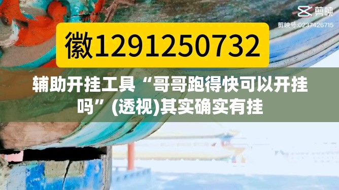 辅助开挂工具“哥哥跑得快可以开挂吗	”(透视)其实确实有挂