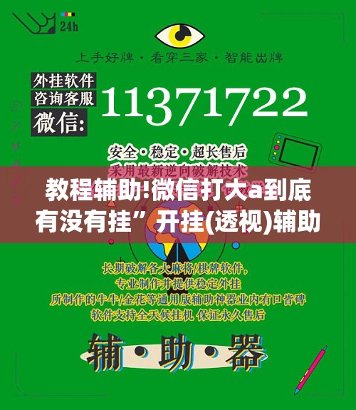 教程辅助!微信打大a到底有没有挂”开挂(透视)辅助教程