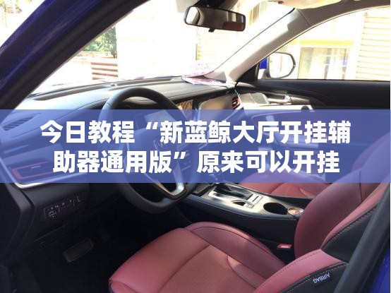 今日教程“新蓝鲸大厅开挂辅助器通用版	”原来可以开挂