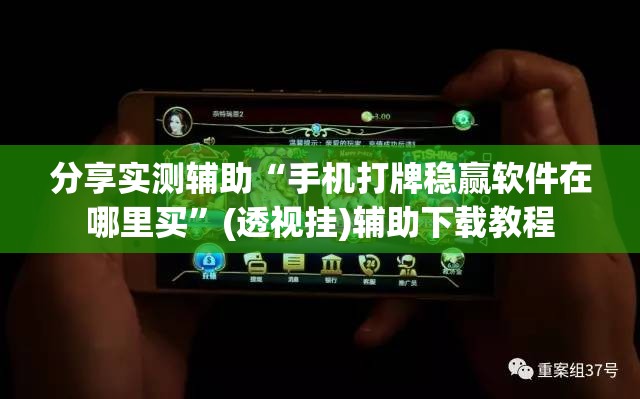 分享实测辅助“手机打牌稳赢软件在哪里买”(透视挂)辅助下载教程