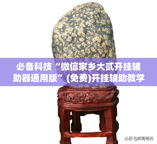 必备科技“微信家乡大贰开挂辅助器通用版	”(免费)开挂辅助教学(最新辅助开挂教程)