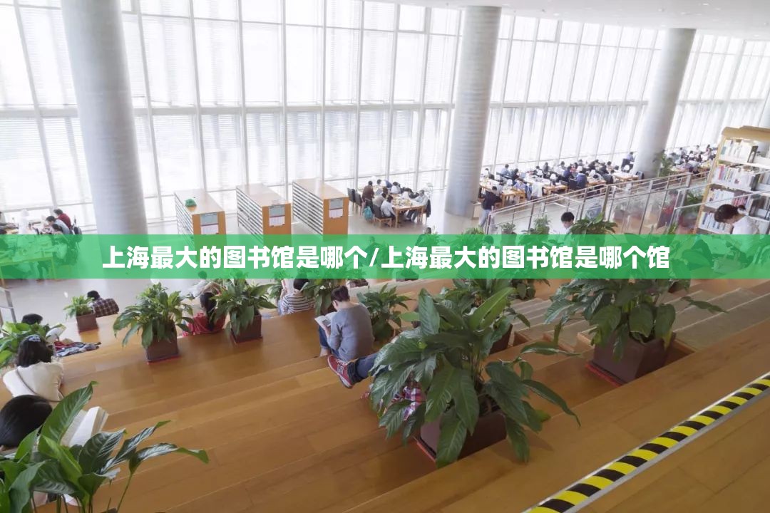 上海最大的图书馆是哪个/上海最大的图书馆是哪个馆 上海最大的图书馆是哪个/上海最大的图书馆是哪个馆