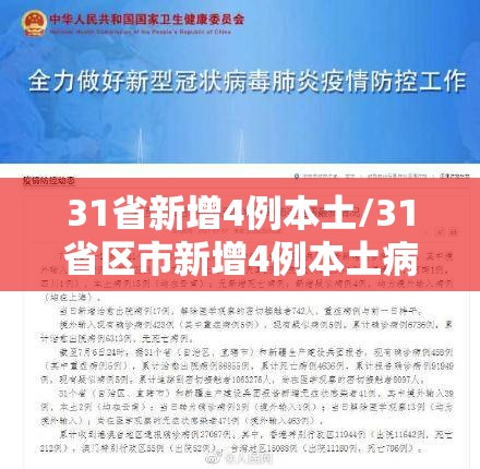 31省新增4例本土/31省区市新增4例本土病例 新闻