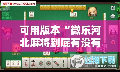 可用版本“微乐河北麻将到底有没有挂”细辅助教程分享