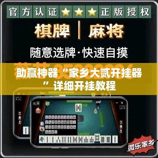 助赢神器“家乡大贰开挂器	”详细开挂教程