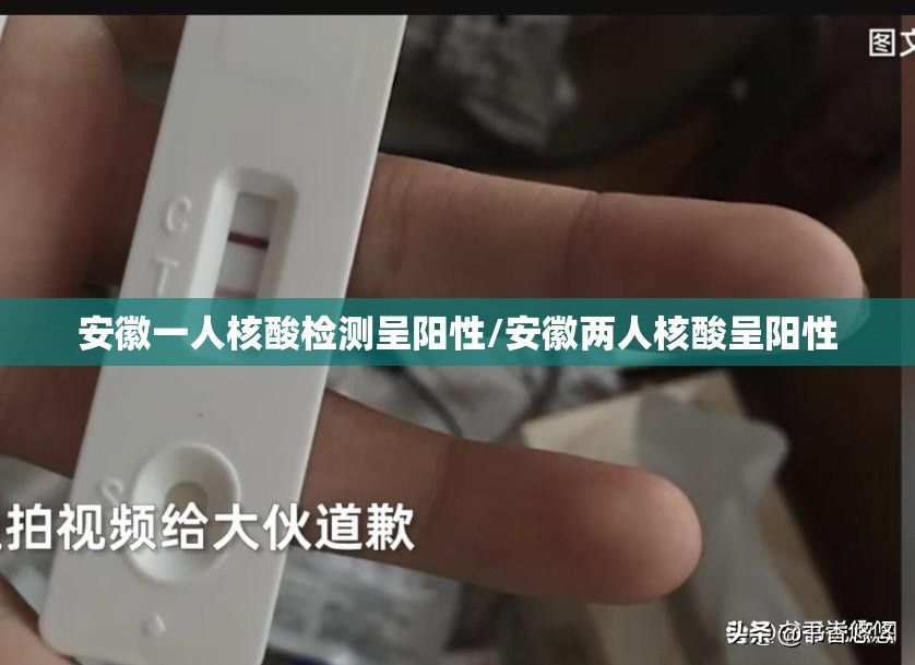 安徽一人核酸检测呈阳性/安徽两人核酸呈阳性 安徽一人核酸检测呈阳性/安徽两人核酸呈阳性
