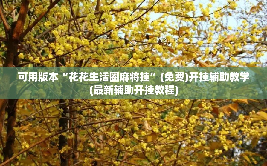 可用版本“花花生活圈麻将挂”(免费)开挂辅助教学(最新辅助开挂教程)
