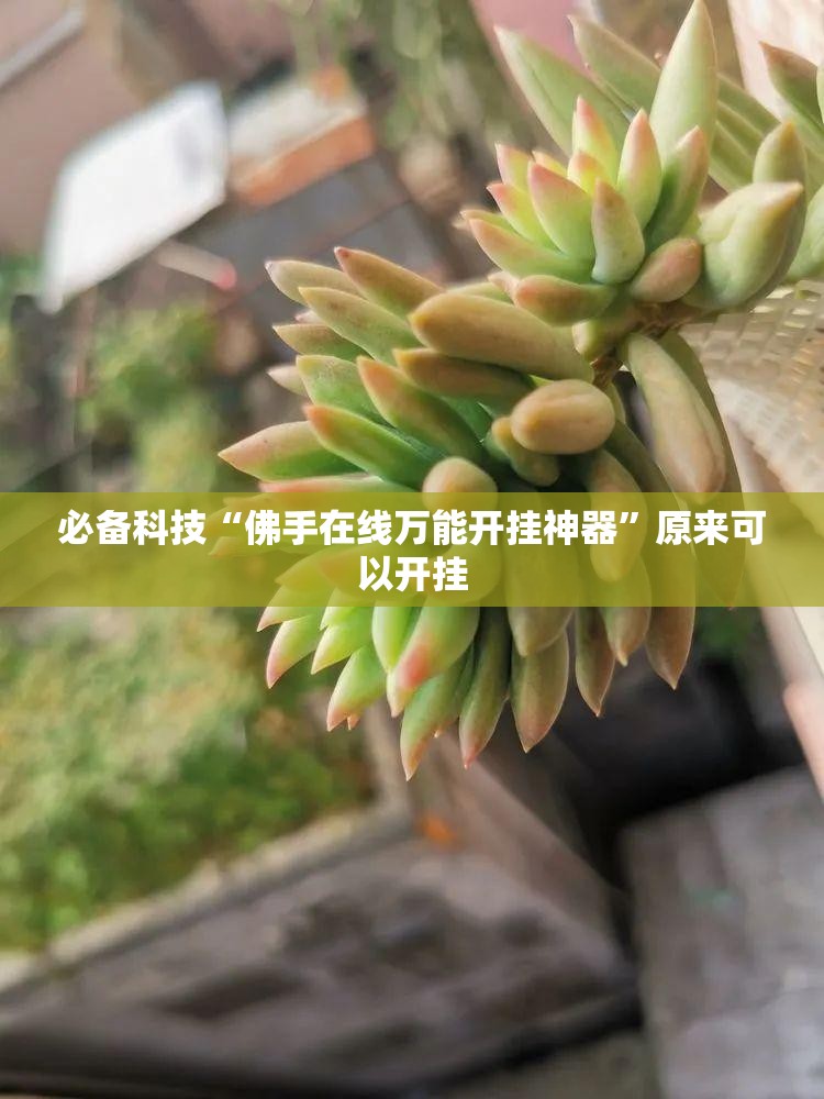 必备科技“佛手在线万能开挂神器”原来可以开挂