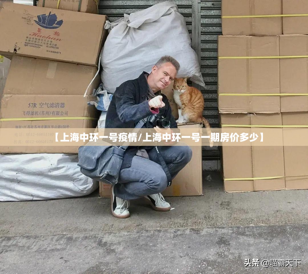 【上海中环一号疫情/上海中环一号一期房价多少】 【上海中环一号疫情/上海中环一号一期房价多少】