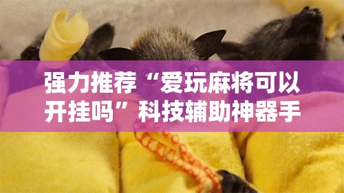 强力推荐“爱玩麻将可以开挂吗”科技辅助神器手机版