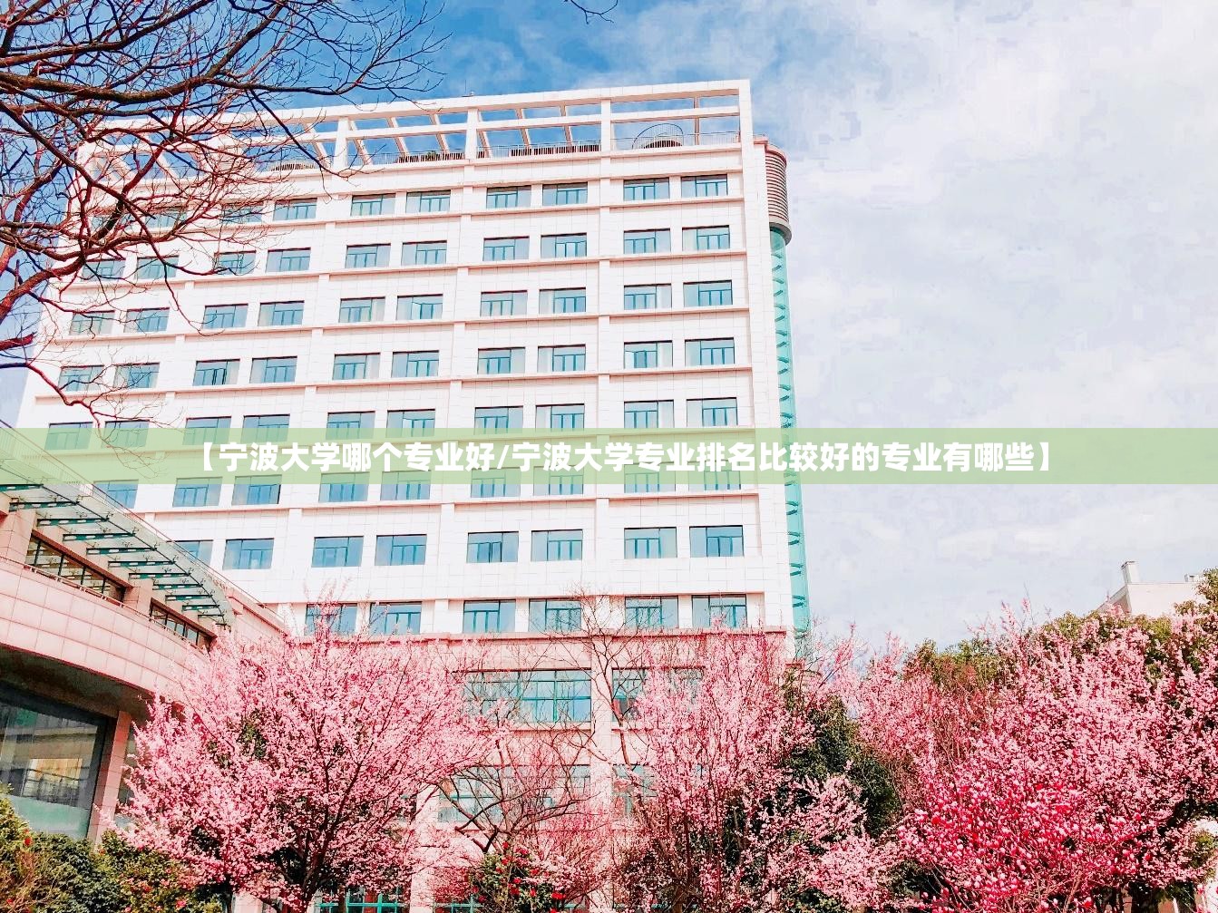 【宁波大学哪个专业好/宁波大学专业排名比较好的专业有哪些】 【宁波大学哪个专业好/宁波大学专业排名比较好的专业有哪些】