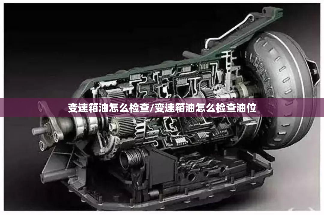 变速箱油怎么检查/变速箱油怎么检查油位 变速箱油怎么检查/变速箱油怎么检查油位