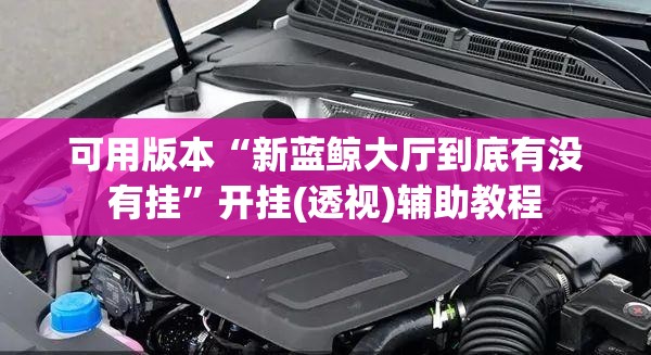 可用版本“新蓝鲸大厅到底有没有挂	”开挂(透视)辅助教程