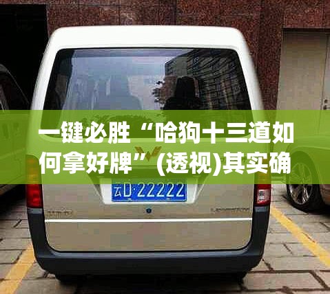 一键必胜“哈狗十三道如何拿好牌”(透视)其实确实有挂