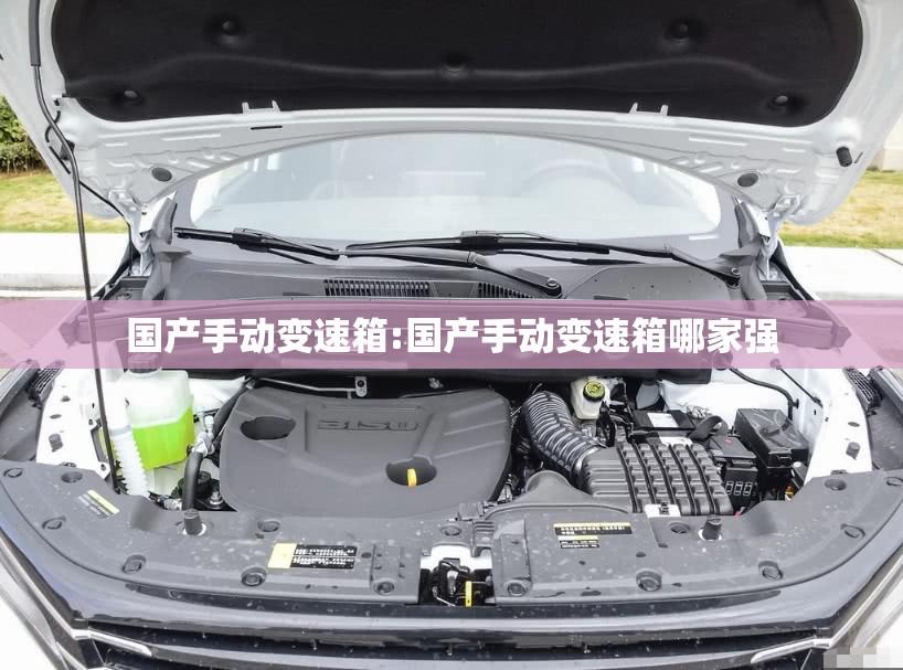 国产手动变速箱:国产手动变速箱哪家强 国产手动变速箱:国产手动变速箱哪家强