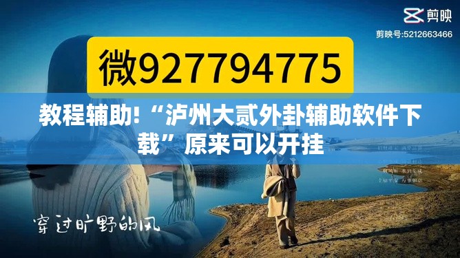 教程辅助!“泸州大贰外卦辅助软件下载	”原来可以开挂