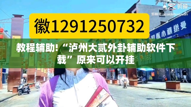 教程辅助!“泸州大贰外卦辅助软件下载”原来可以开挂