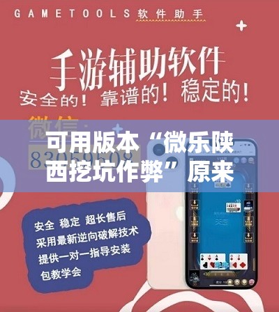 可用版本“微乐陕西挖坑作弊”原来可以开挂