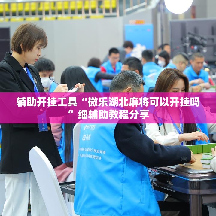 辅助开挂工具“微乐湖北麻将可以开挂吗”细辅助教程分享
