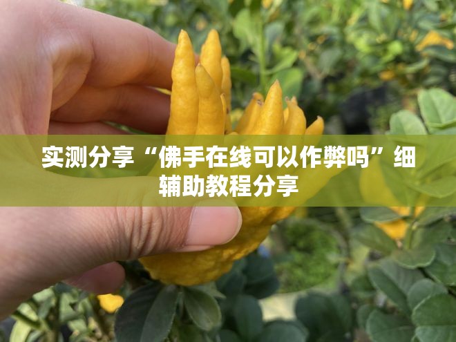 实测分享“佛手在线可以作弊吗”细辅助教程分享