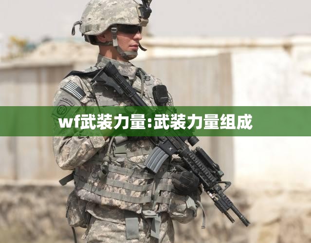 wf武装力量:武装力量组成