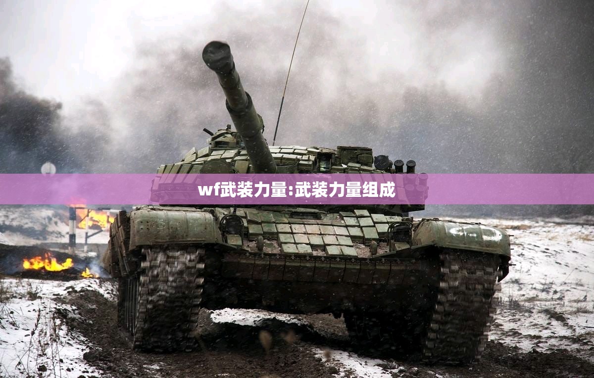 wf武装力量:武装力量组成