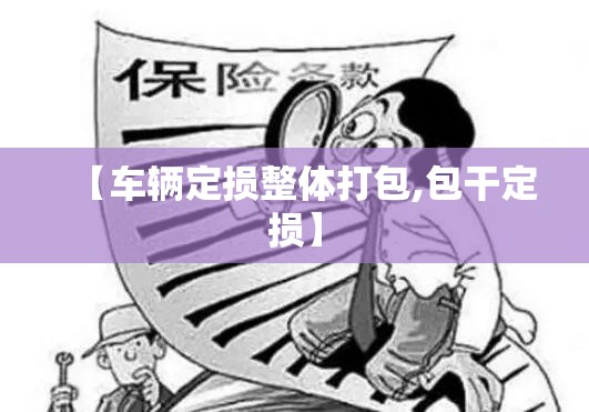 【车辆定损整体打包,包干定损】 【车辆定损整体打包,包干定损】