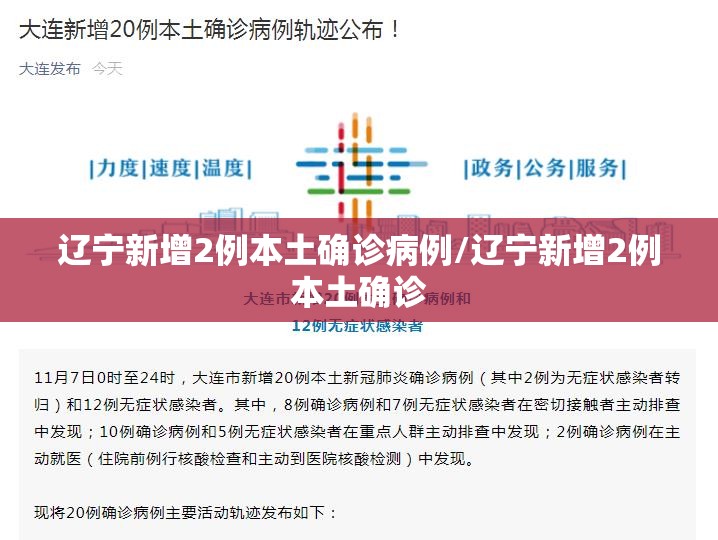 辽宁新增2例本土确诊病例/辽宁新增2例本土确诊