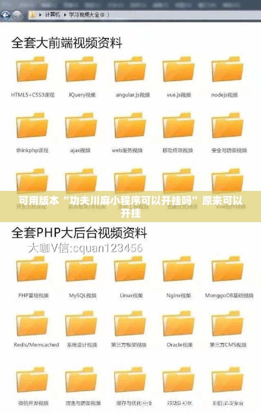 可用版本“功夫川麻小程序可以开挂吗”原来可以开挂