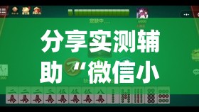 分享实测辅助“微信小程序微乐海南麻将万能开挂神器”(透视)其实确实有挂