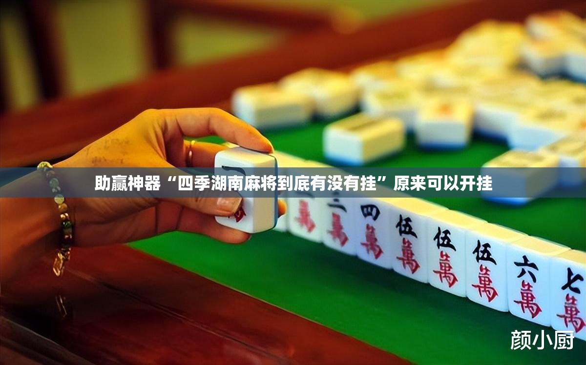 助赢神器“四季湖南麻将到底有没有挂”原来可以开挂