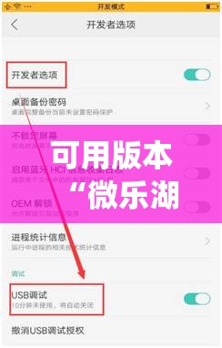 可用版本“微乐湖南跑得快有没有开挂神器”(透视挂)辅助下载教程