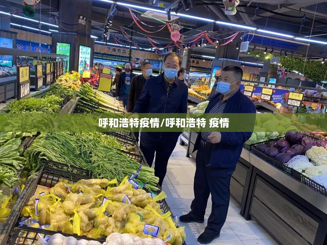 呼和浩特疫情/呼和浩特 疫情