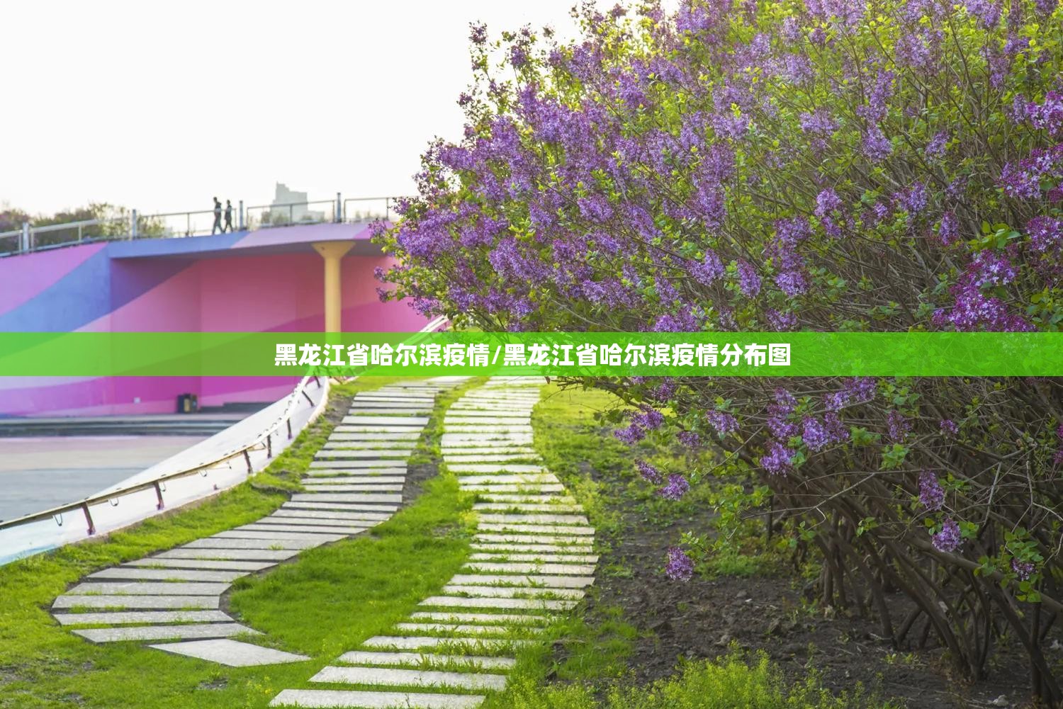 黑龙江省哈尔滨疫情/黑龙江省哈尔滨疫情分布图 黑龙江省哈尔滨疫情/黑龙江省哈尔滨疫情分布图