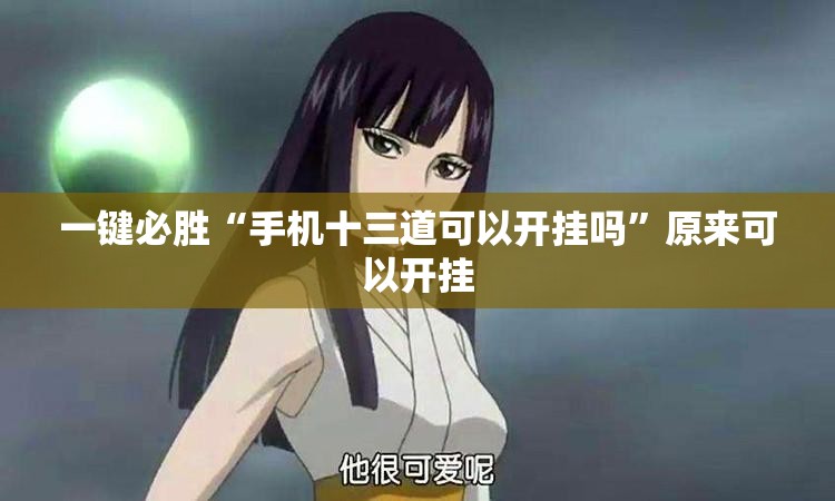 一键必胜“手机十三道可以开挂吗”原来可以开挂