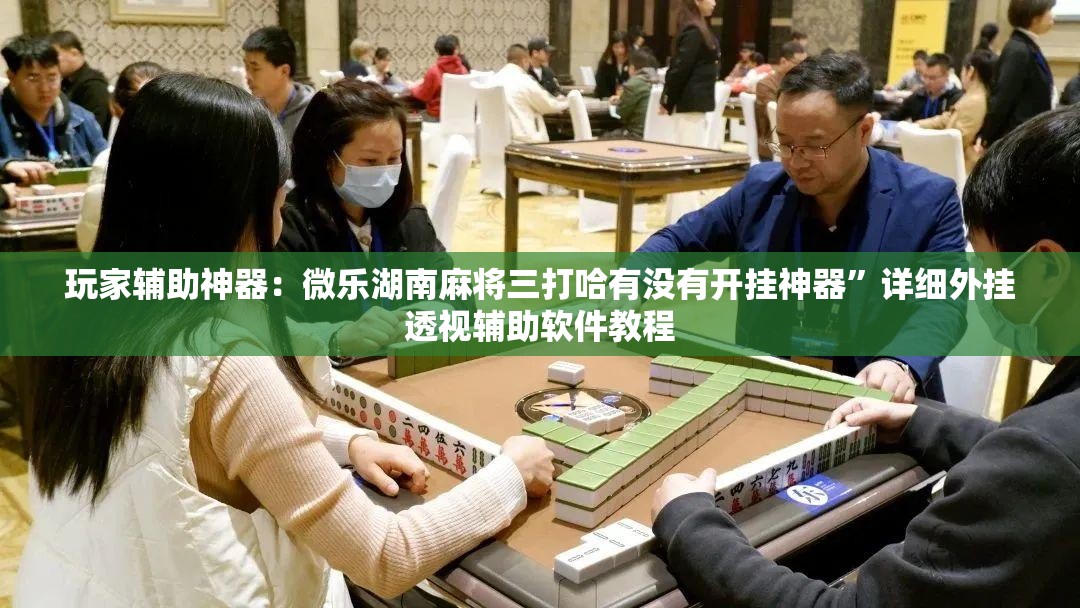 玩家辅助神器：微乐湖南麻将三打哈有没有开挂神器”详细外挂透视辅助软件教程