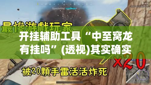 开挂辅助工具“中至窝龙有挂吗”(透视)其实确实有挂