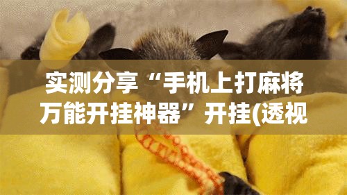 实测分享“手机上打麻将万能开挂神器”开挂(透视)辅助教程